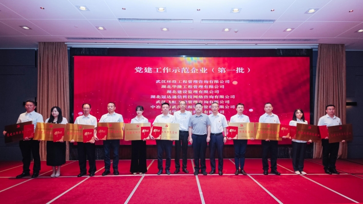 党建引领聚合力，红色监理筑精品 武汉城投飞虹公司获评行业“党建工作示范企业